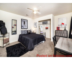 Book Student accommodation in Raleigh with lots of Facilities