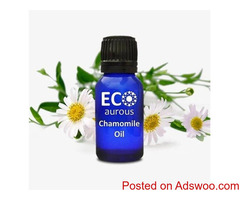 Buy online German blue chamomile essential oil for dogs- Eco Aurous
