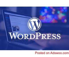 Best WordPress Developer in India
