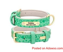Affordable Custom Dog Collars in Australia