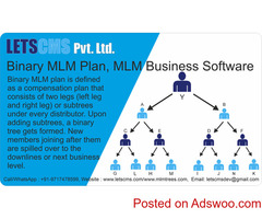 MLM Binary Plan Software | Free demo - Business mlm Software, Binary MLM Plan