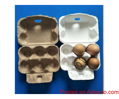 Well tamed birds and healthy parrots for sale