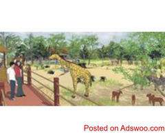 Zoo Consultants Services and Animal Exhibit Designer