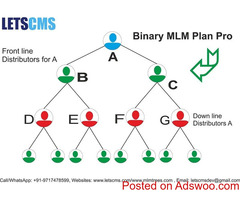 Binary Plan Pro, Affiliate Marketing Software, Direct Selling, Pyramid, MLM eCommerce