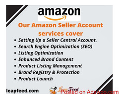 Amazon Inventory Management Services