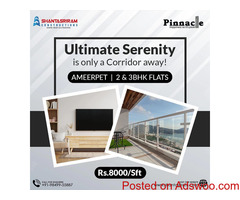 2 and 3bhk flats in ameerpet | Shanta Sriram