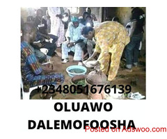 The  best powerful spiritual herbalist in Nigeria +2348051676139