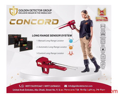 Concord one metal detector for all prospectors at the best price