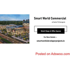 Smart World Commercial At Sector 111 Gurgaon -  A Location That Puts You On The Fast Lane