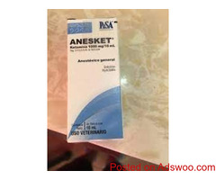Anesket 1000mg/10ml vials