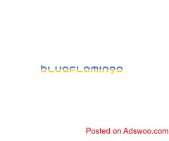 Web Design Agency