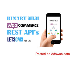 Binary Rest API | API Integrated MLM Software, Rest API Addon, WordPress REST API Price USA