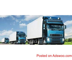 International Freight And Logistics Services In Brisbane