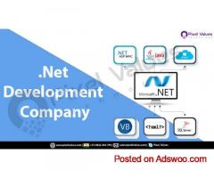 Pixel Values Technolabs - A trusted .Net Development Service Provider!