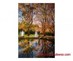 Well Known Wedding Photographer in Toowoomba