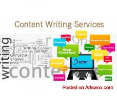 Top Level Content Writing Services In USA