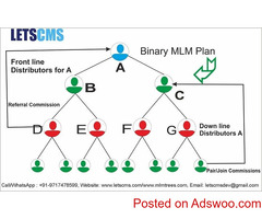 Binary MLM WooCommerce & Strategy, Customized MLM Software, MLM Business Strategy 2022