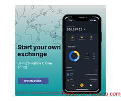 Hivelance provides binance clone solutions