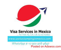 Ciudad Juarez - Mexico US Visa Stamping Services