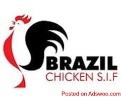Place Your Order for Halal Certified Frozen Chicken Thighs
