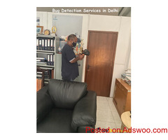 Bug Detection Services in Delhi