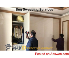 Bug Detection Services in Delhi