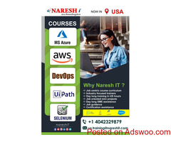 Best software training in the USA- Naresh I Technologies