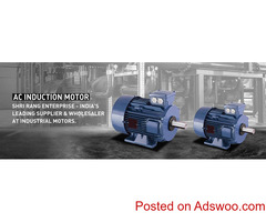 Induction Motor Suppliers