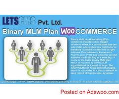 Binary MLM Plan - About Binary MLM Business Strategy & WooCommerce WordPress