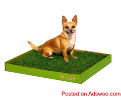 Eco-Friendly Disposable Bathroom with Real Living Grass