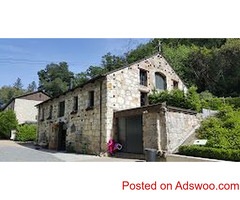 Tree Pruning Napa