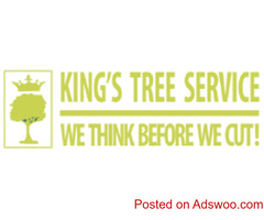 Tree Pruning Napa