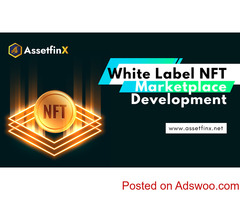 White Label NFT Marketplace Development - AssetfinX