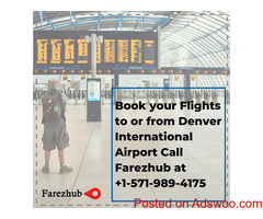 Denver International Airport- Farezhub