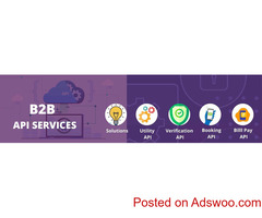 Best B2B API service provider at an affordable price