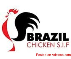 Get Halal-certified Frozen Chicken Online from Us