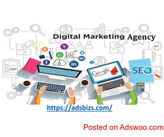We offer you the best in Digital Marketing.
