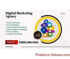We Provide The Best Digital Marketing Services.