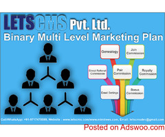Binary MLM Income Plan  | Binary MLM Software for Network Marketing Business for cheapest Price USA