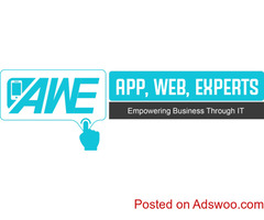 Are you in need of reliable and inexpensive SEO, Web Design/Development, or App design for your biz?