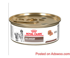Recovery Cat Food