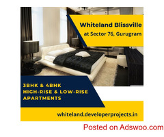 Whiteland Blissville Sector 76 Gurugram | The Journey To Your Home Begins Here