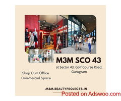 M3M SCO 43 at Sector 43 Gurgaon | The Bright Side Of Life