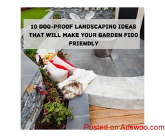Small Courtyard Ideas for Your Home | Foliage Landscaping