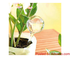Watering Bulbs For Bulbs!!!!!!!!!!!!!!!!!!!