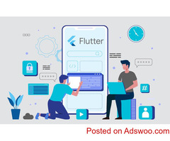 Hire Flutter Remote Developer in Plymouth, Minnesota : Hourly or Monthly Basis