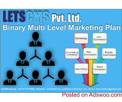 Binary Calculation Formula | Binary Multilevel Marketing (MLM) Plan Software for Cheapest Price