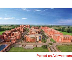 For the best BBA colleges in CG, come to Amity University Raipur!