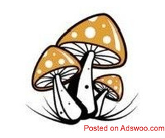 Buy psychedelics online