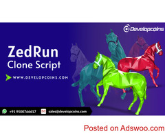Generate More Revenue By Launching Your Own NFT Game Like Zed Run